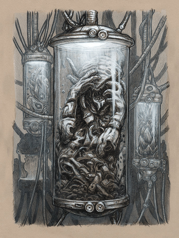 Bumbling Assistants: Canister with Stone Skin - The Grand Bazaar of Ethra VanDalia