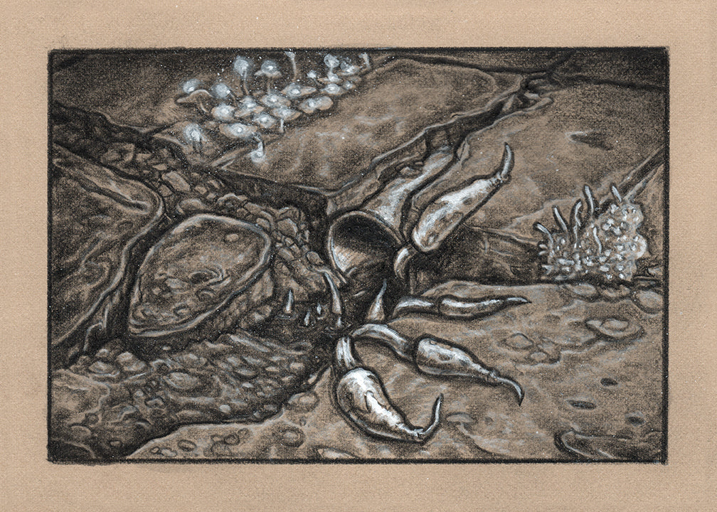 Killer’s Hand, Drunkard’s Light, and Innocence’s Touch - The Grand Bazaar of Ethra VanDalia