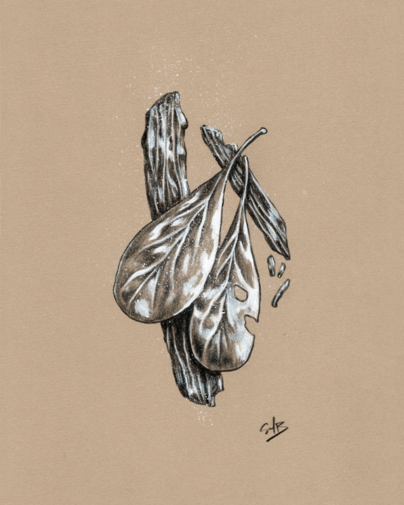 Xandrell Tree: Leaves and Bark Art - The Grand Bazaar of Ethra VanDalia